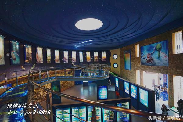 几亿年前海洋生物,生命摇篮澄江老照片