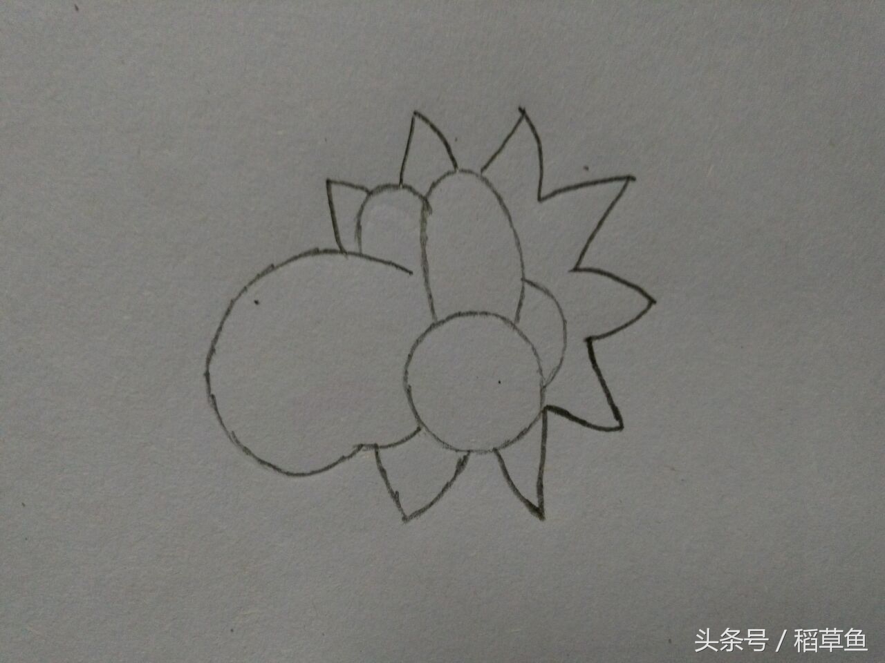 12生肖完整图片马的简笔画,12生肖中的狗简笔画怎么画