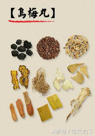 乌梅丸治拉肚子吗,慢性腹泻可以服乌梅丸吗