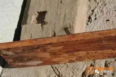 黄花梨手串鉴别真假只需3秒,鉴别黄花梨木最简单方法如下