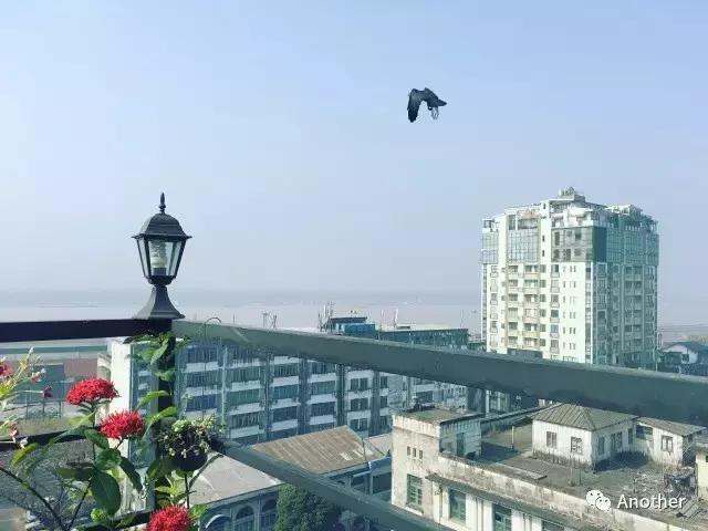 缅甸之缘仰光初印象 (去缅甸仰光市旅游的真实感受)