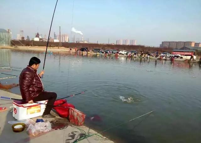 河北垂钓大赛,河北省第十六届省运会钓鱼比赛