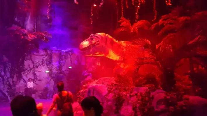 番禺长隆野生动物园2天1晚攻略,番禺长隆野生动物园旅游路线