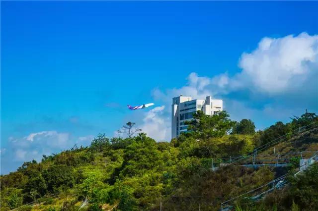 香港tvb的发展历程,香港tvb怀旧之旅