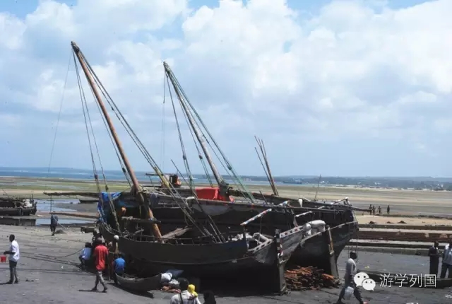 一生必去一次的非洲坦桑尼亚｜回归狂野