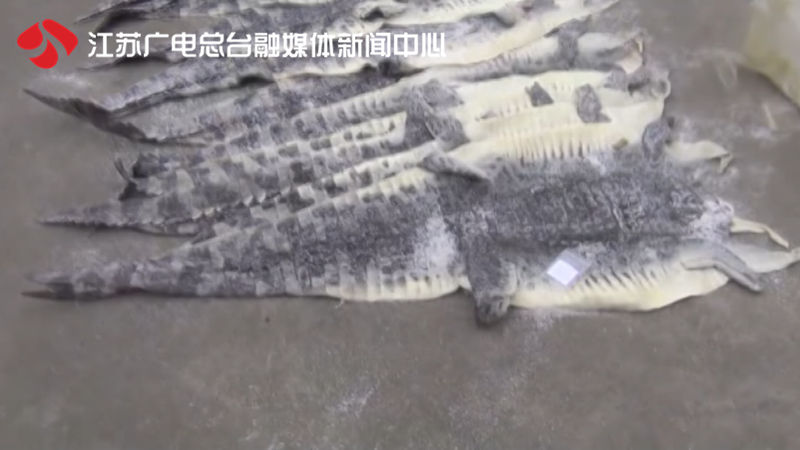 特大贩卖动物案,贩卖动物大案