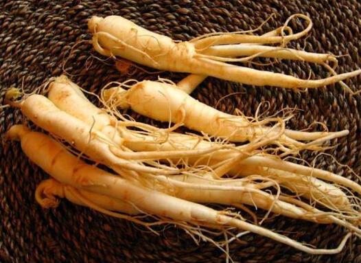 月子注意事项大全及细节,月子注意事项及月子餐