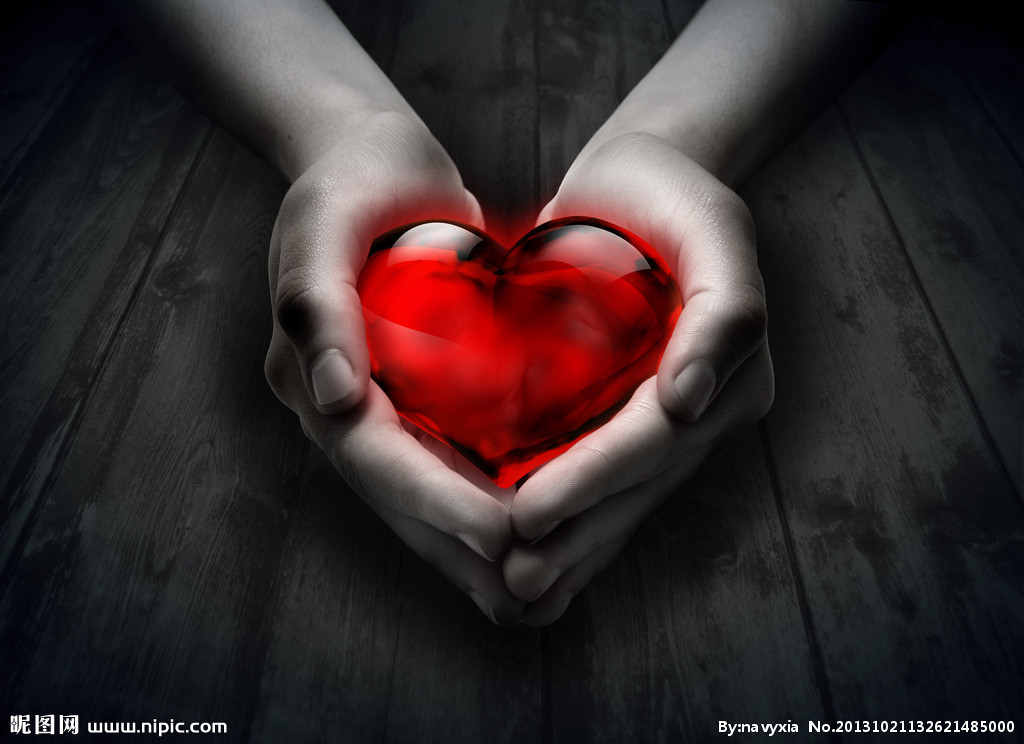 以爱之名案件 (请勿以爱之名小说)