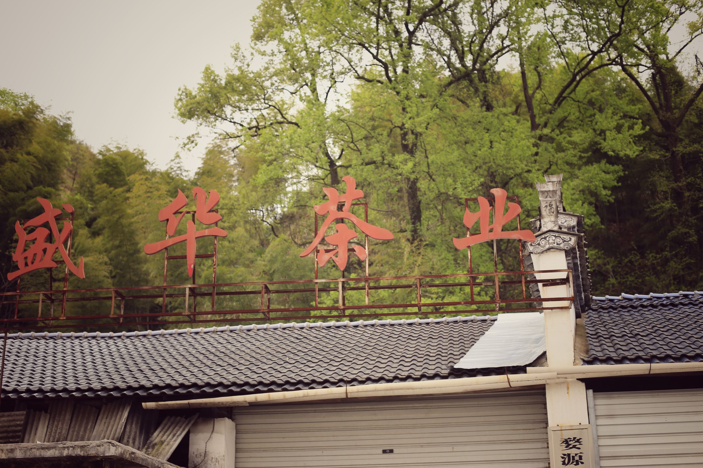 一个四月下午，一个僧人，一个茶商的故事