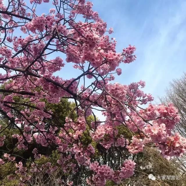 敢说实话揭露黑幕的车评人,车评人去日系品牌参观被轰出来