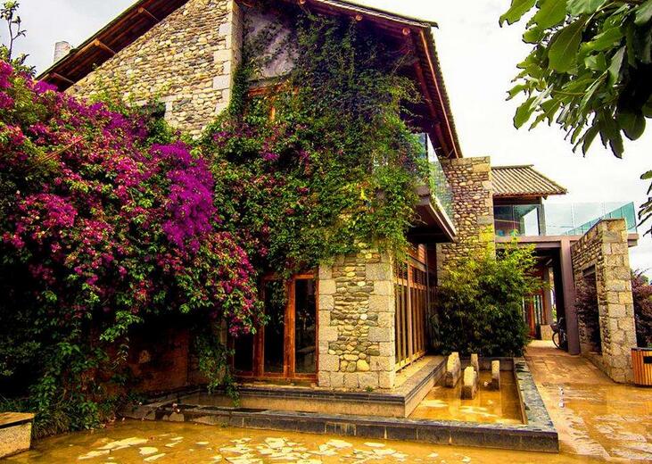 鲁豫采访杨丽萍的太阳宫视频,鲁豫访问杨丽萍月亮宫