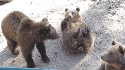 博君一肖手势密码,博君一笑合集卡点