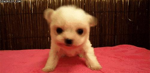 谢娜绿豆泥面膜,谢娜同款卸妆水