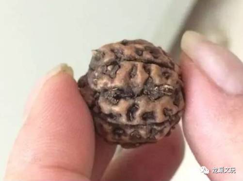 爆肉金刚咋看真假,金刚1024正品和仿品