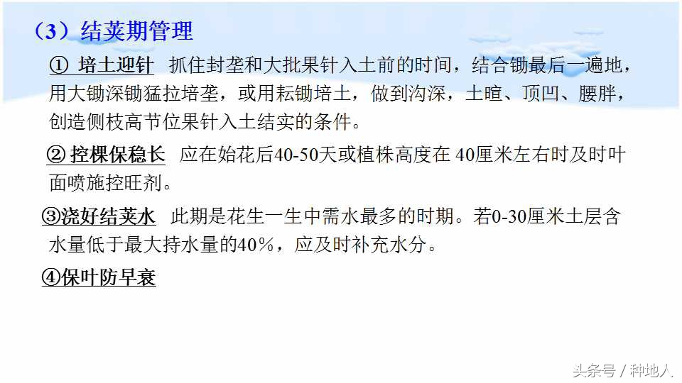 马上开始播种花生,快要种花生了