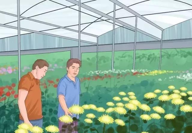 一个成熟的花店该如何运营,零基础教你如何开好一家花店