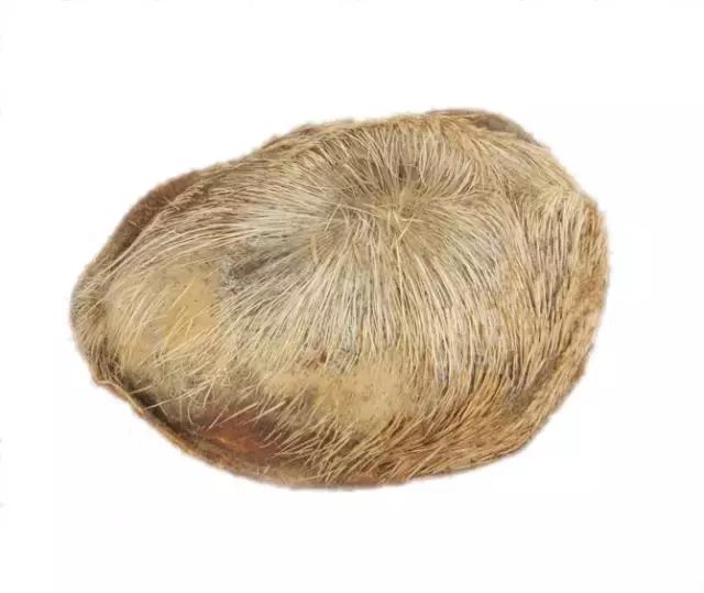 麝香香水对孕妇有什么危害,马应龙麝香膏对孕妇有什么危害