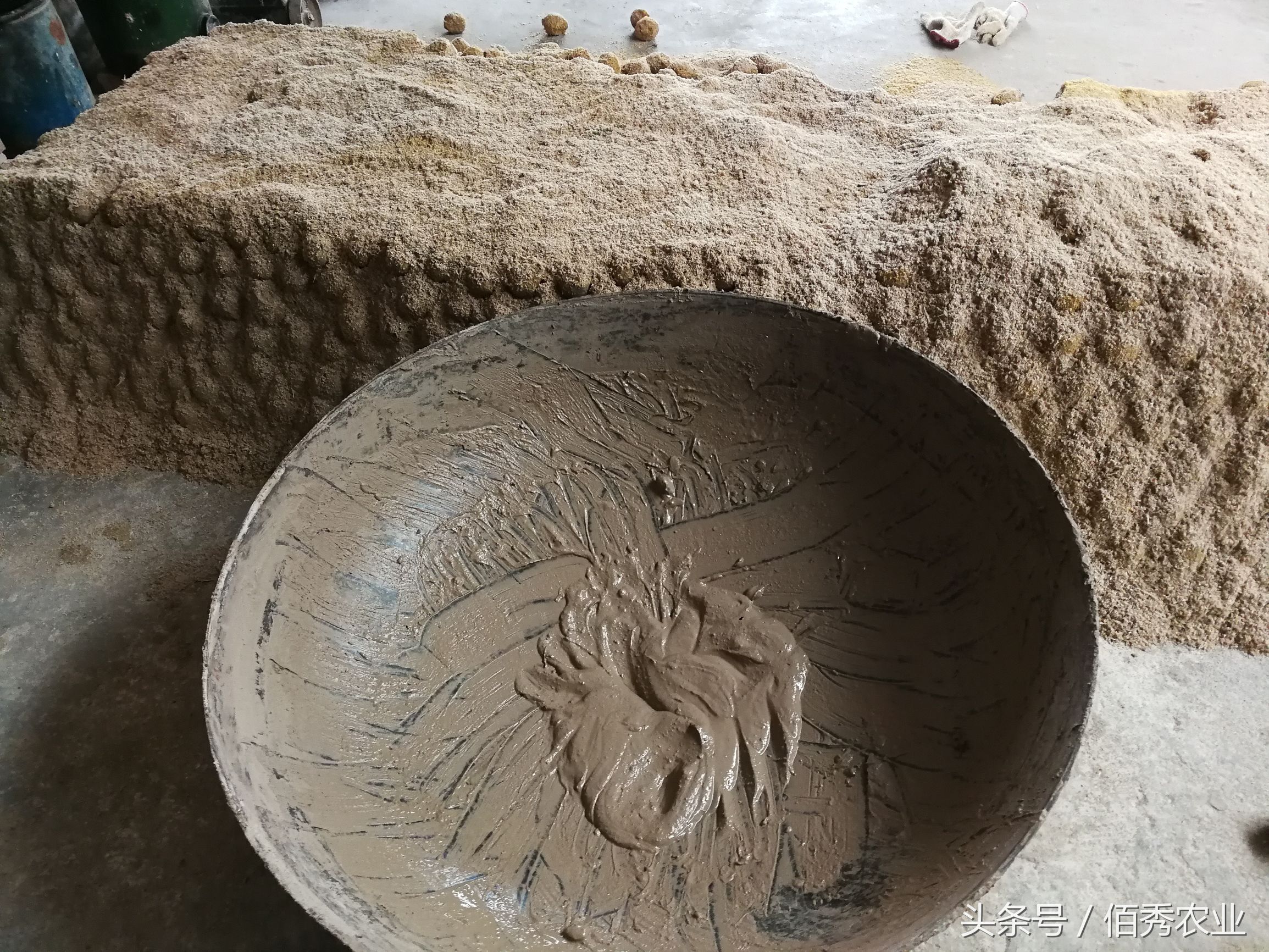 农民自制变蛋，一枚赚5分钱，你信吗？