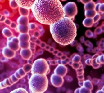 宝宝幽门螺旋杆菌感染怎么样治疗,宝宝幽门螺杆菌的最佳治疗方法