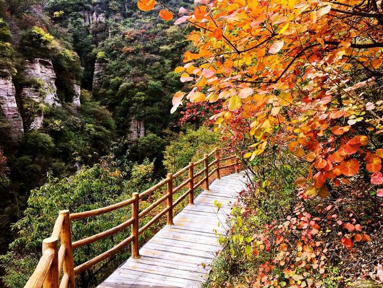 黄河丹峡韶山峡,渑池县韶山峡景区