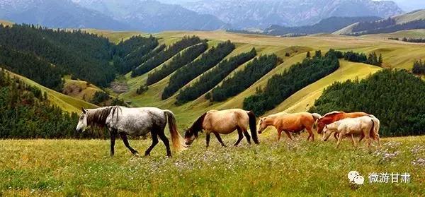 中华裕固族风情走廊与康乐草原,冬季的裕固族风情走廊