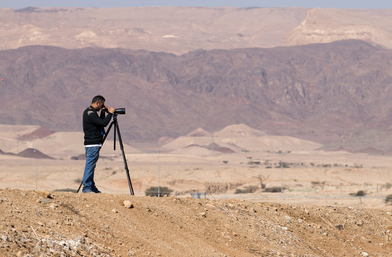 以色列,闯入“禁区”的观鸟人
