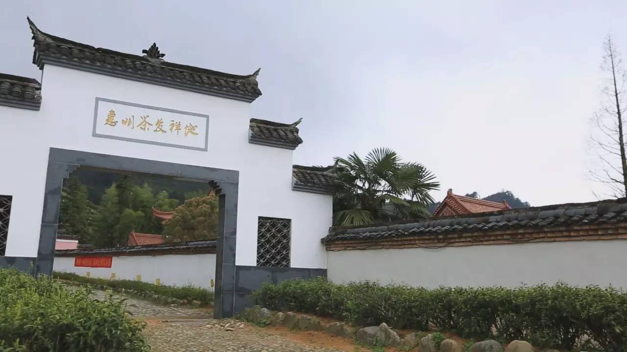 曾经的皇家贡茶,丽水龙泉贡茶