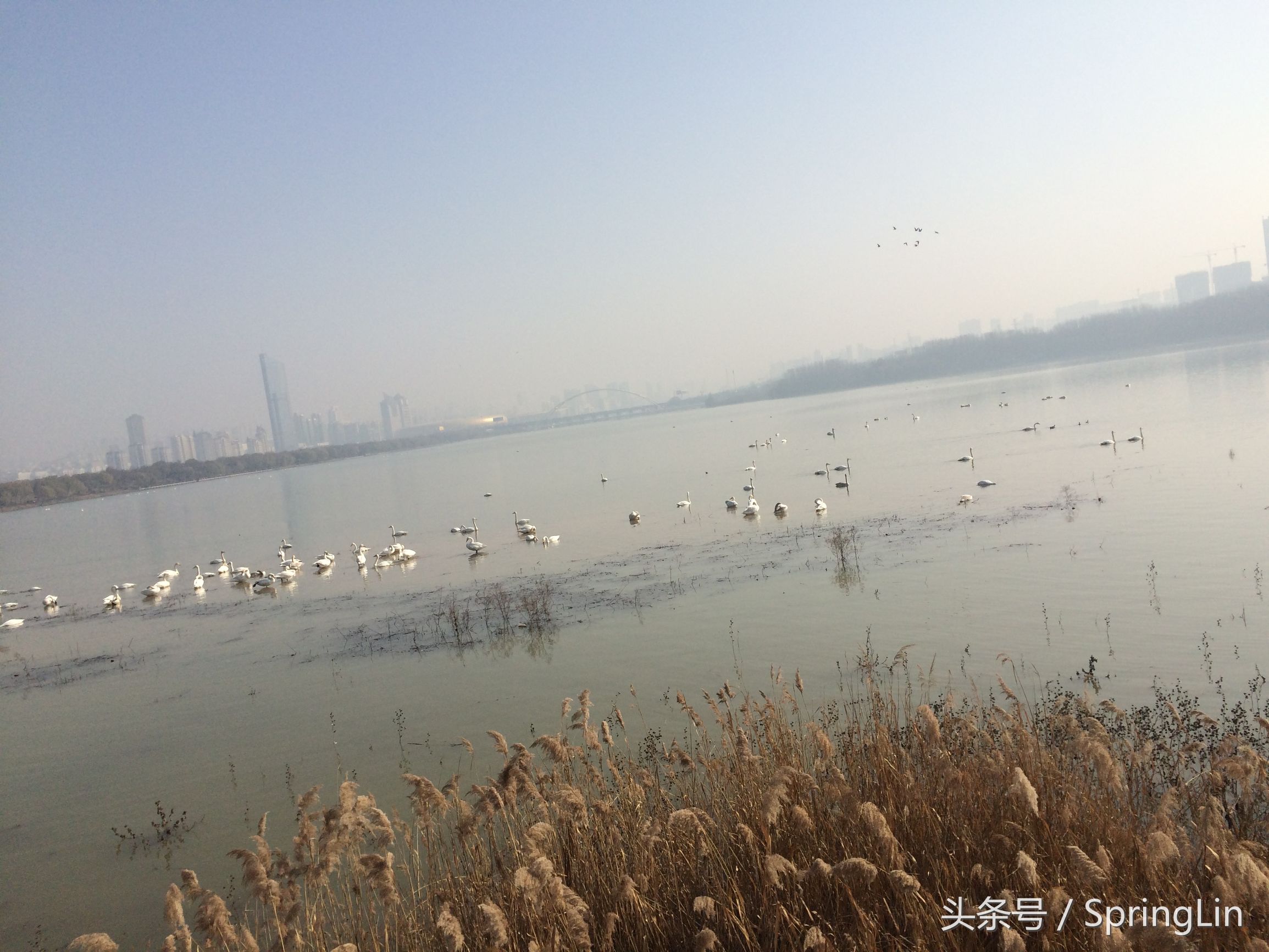 三门峡豫西大峡谷旅游攻略,豫西三门峡全景图