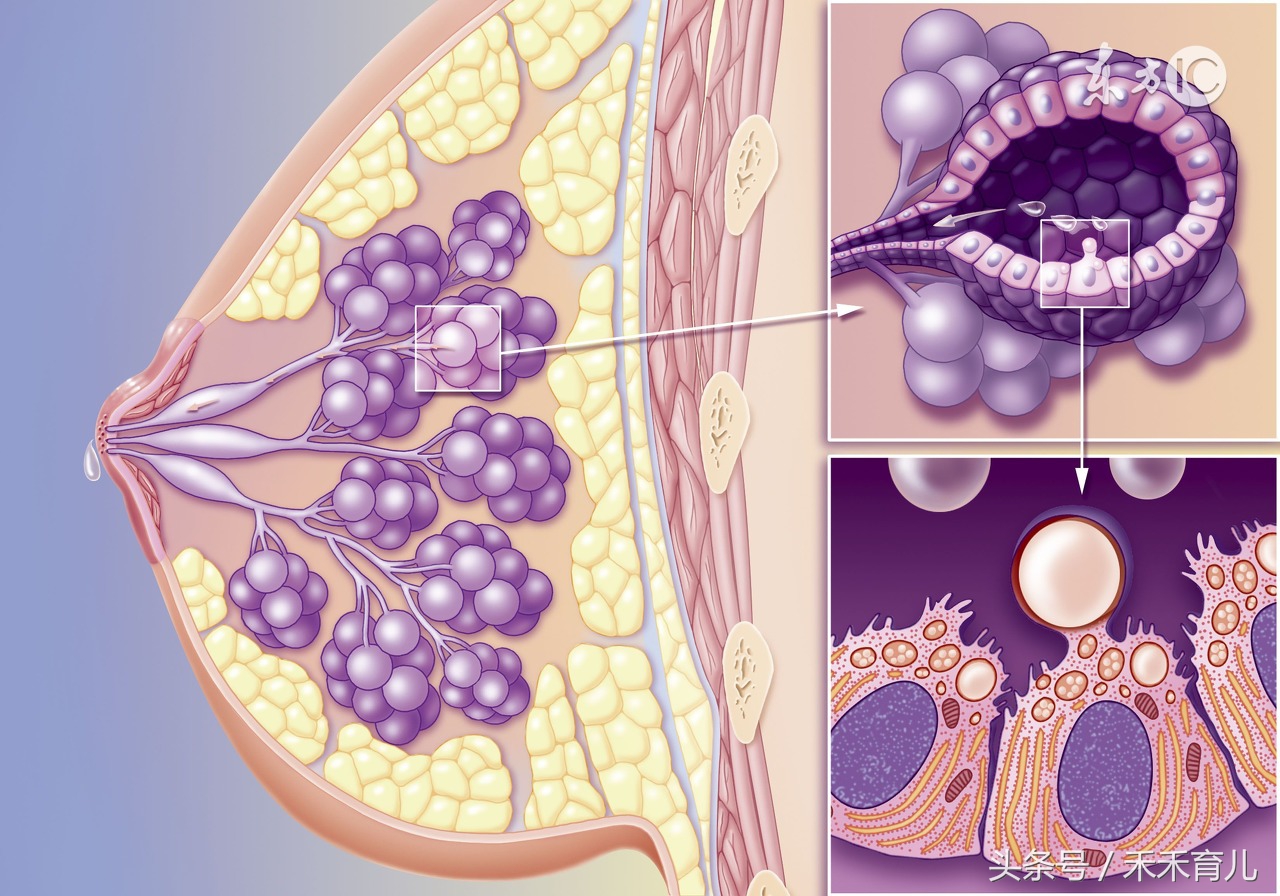 产后42天检查很重要，没做的产妇都后悔了
