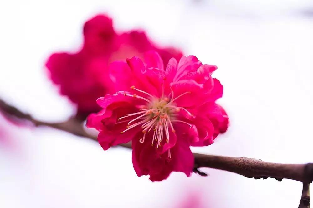 寻找紧急扩散人员名单,紧急寻找紧急扩散