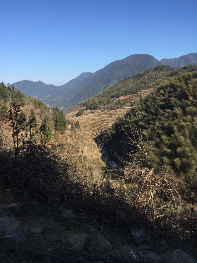 远山如黛原诗,远山如黛什么意思