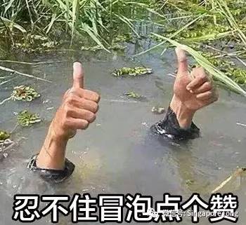 坡岛父母哭了：奶粉4年涨价40%，比大马贵2倍！