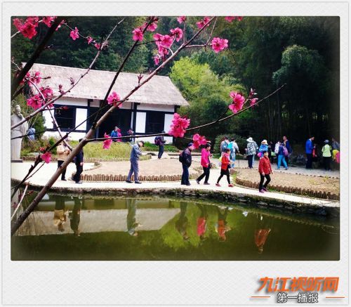 人间四月芳菲尽山寺桃花始盛开,人间四月芳山寺桃花始盛开