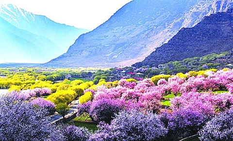 来捡漏了,来捡漏了要不就等明年了文案