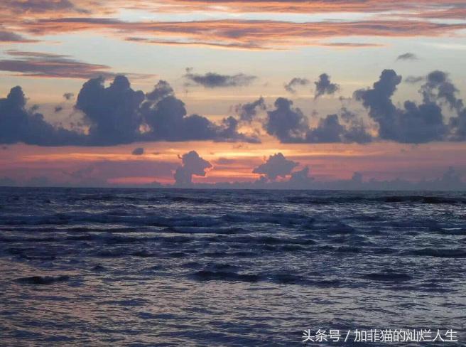 马来西亚亚庇到美人鱼岛,亚庇美人鱼岛游记