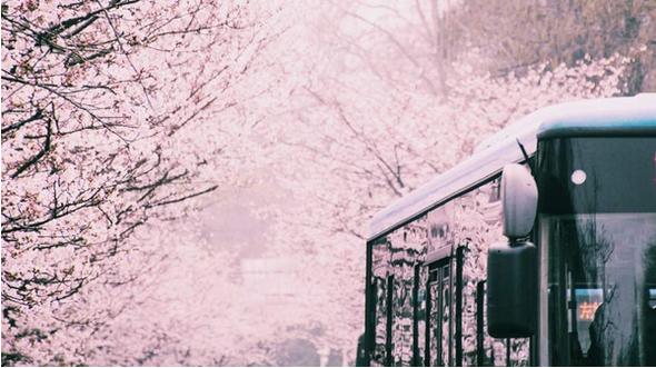 春季手机摄影大赛,摄影有哪些大赛