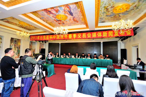 西敏寺犬展法国斗牛,法国国际肉牛博览会