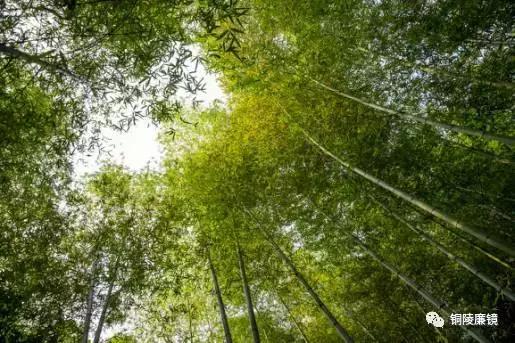 看完以后，你一定会怀疑之前观看铜陵这个村子的方式不对