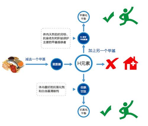 同型半胱氨酸高对眼睛的影响,医生怎么处理高同型半胱氨酸血症