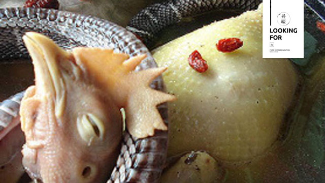 美食专题视频,美食推荐蛇