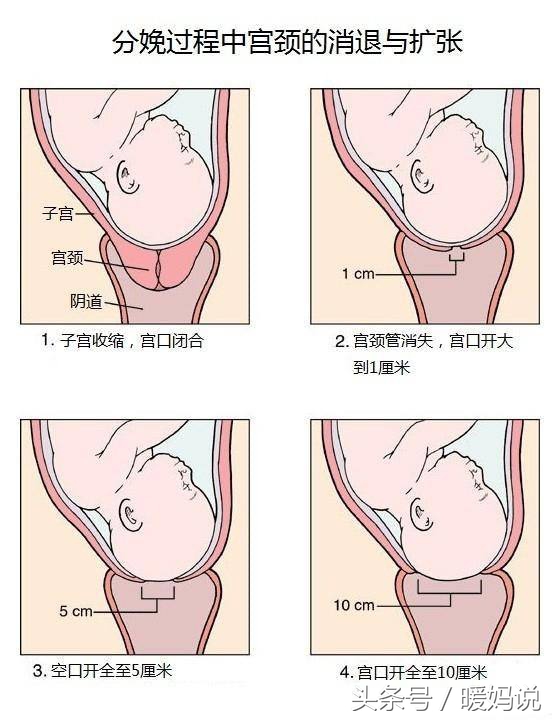 你以为一只手长了九个手指吗,十指是十个手指并排吗