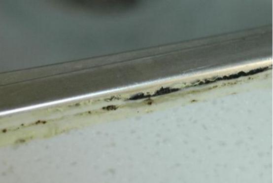 橱柜发霉颜色洗不掉怎么办,橱柜发霉是更换还是翻新