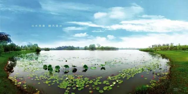 魔法宝贝门票,魔法宝贝团购