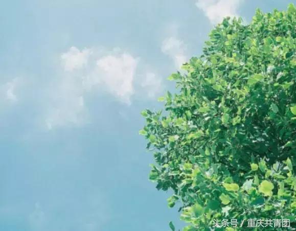 人间最美的不过是春天,人间最美是初春