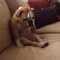 美国快递到底有多暴利,美国快递反映了美国人的什么