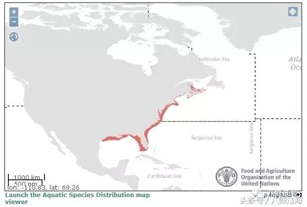 鍖楁瀬璐濋粍閲戣礉,鍔犳嬁澶у寳鏋佽礉鎺ㄨ崘