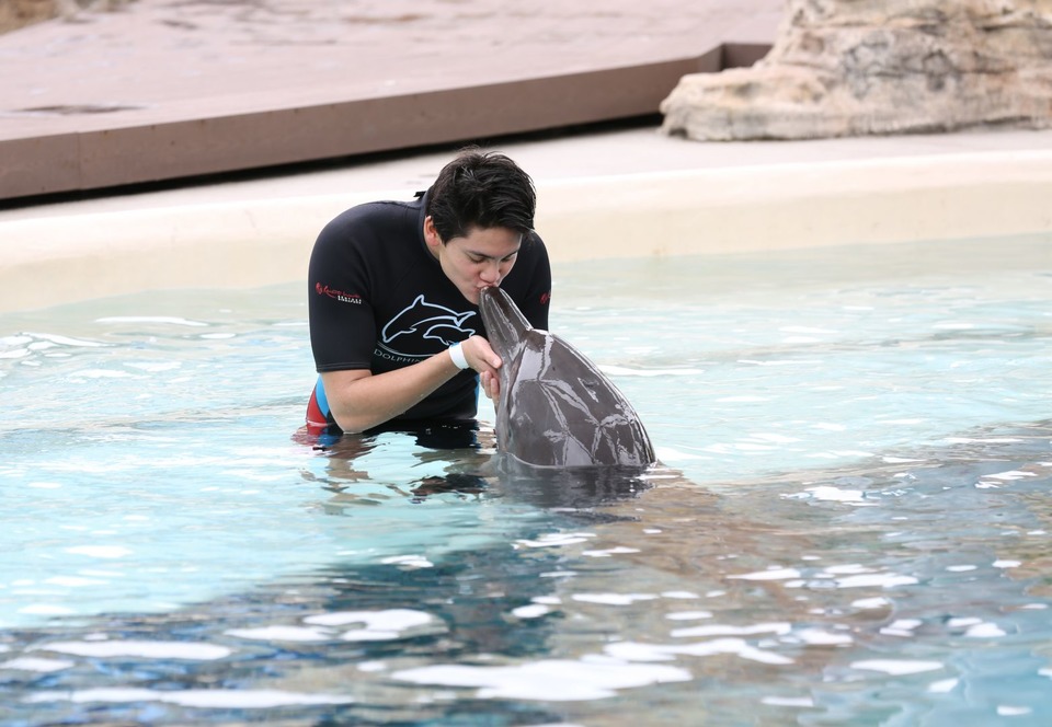 新加坡五天四夜旅游攻略,马来西亚和新加坡5日游