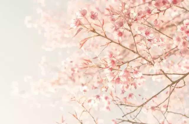 推荐高颜值低价小众手表,十大惊艳小众手表