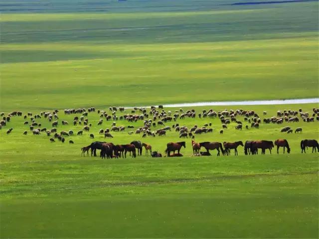 在草原骑马射箭,在草原上骑马奔跑