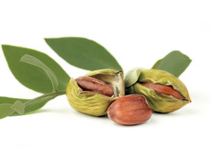 自制身体按摩油,自制推拿按摩油的配制